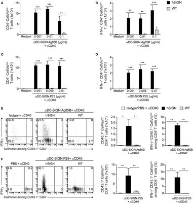 Targeting Mycobacterium tuberculosis Antigens to Dendritic Cells via the DC-Specific-ICAM3-Grabbing-Nonintegrin Receptor Induces Strong T-Helper 1 Immune Responses